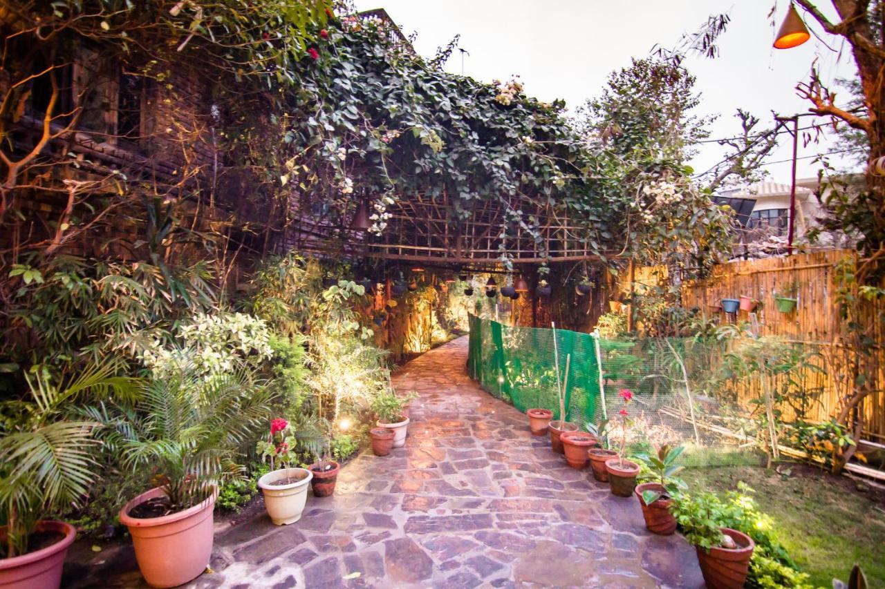 Divine Ganga Cottage Rishīkesh Zewnętrze zdjęcie