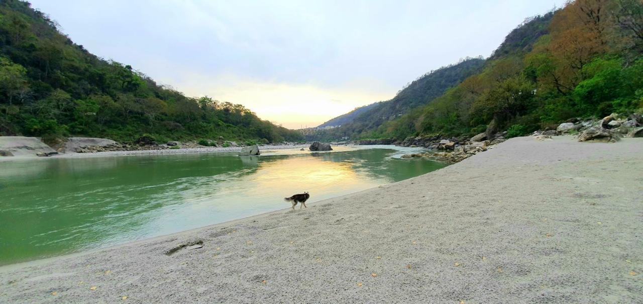 Divine Ganga Cottage Rishīkesh Zewnętrze zdjęcie